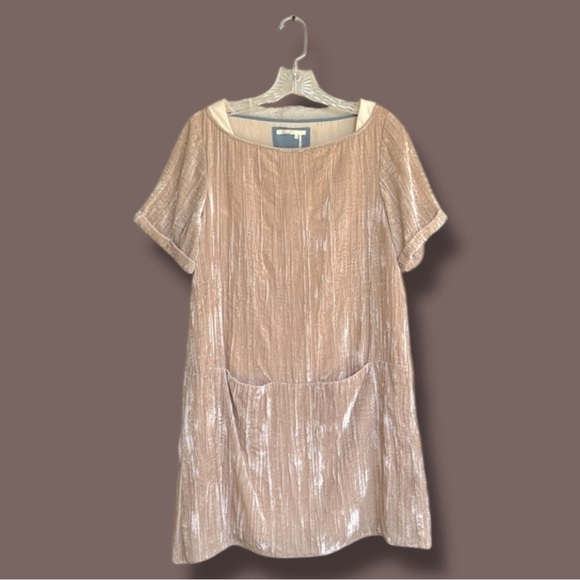 Anthropologie Floreat Champagne Crinkled Velvet Tunic Shift Dress Size XS - Picture 2 of 15